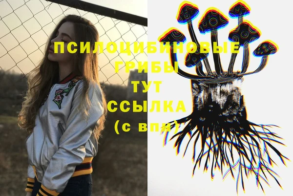 таблы Алзамай