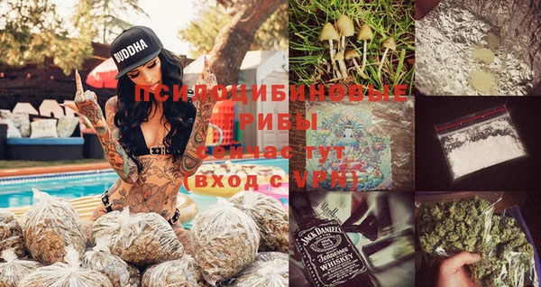 соль ск Алексеевка