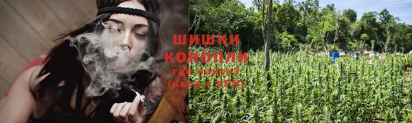 мдпв Нея