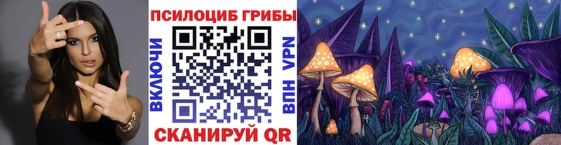 Псилоцибиновые грибы Magic Shrooms  сайты даркнета как зайти  Строитель 